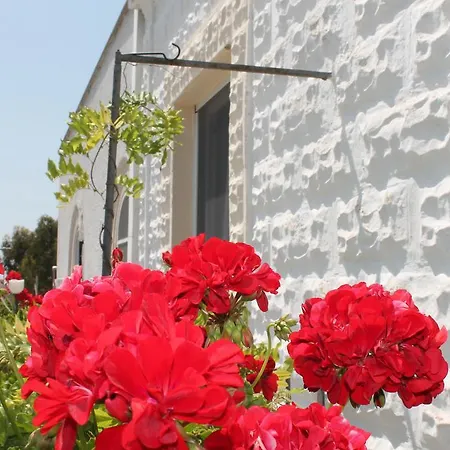 Stella Marina Casa de hóspedes 3*